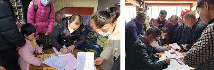 桂林吉福思羅漢果有限公司