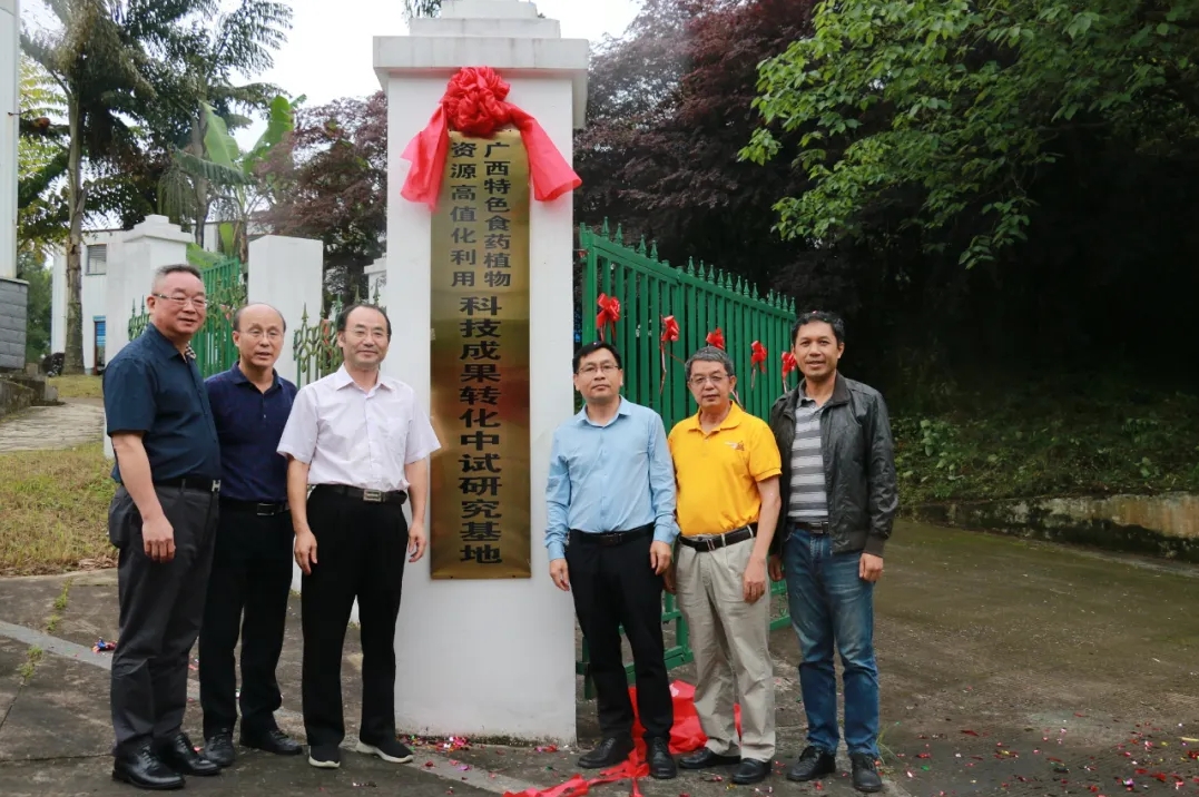 桂林吉福思羅漢果有限公司