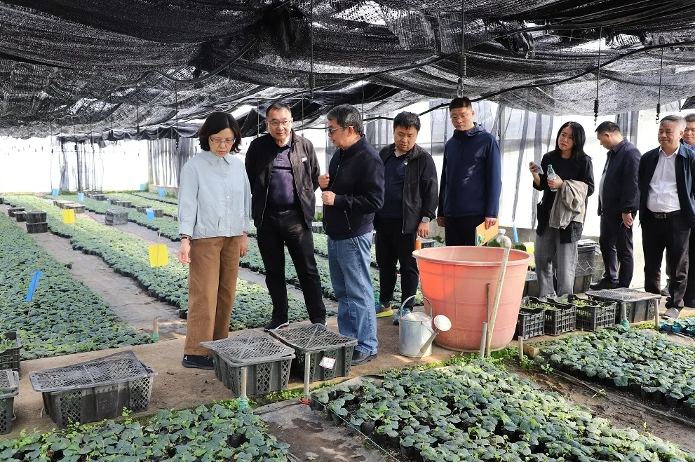 桂林吉福思羅漢果有限公司